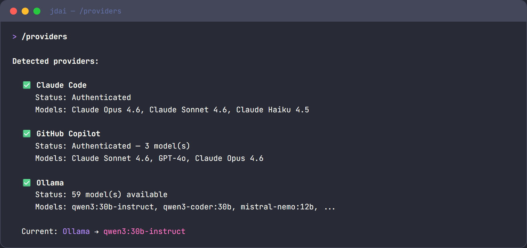 Provider detection on startup